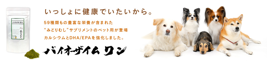 バイオザイムとは